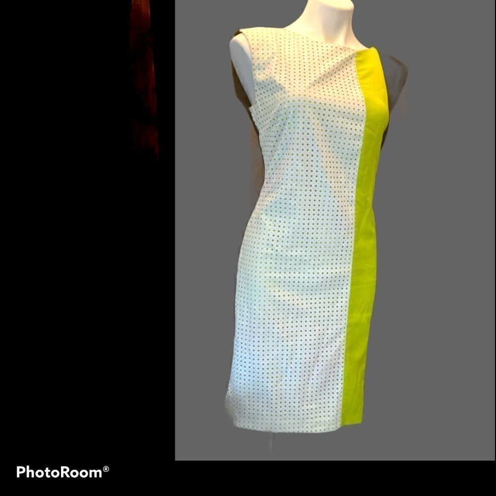 Eci New York dress 